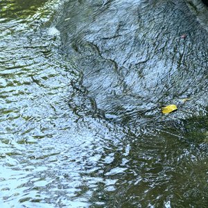 浮生匆忙客