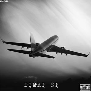 Dimmi Si