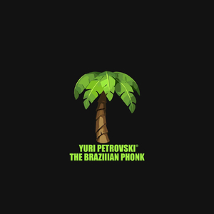 The Brazilian Phonk Cummunity