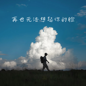 再也无法想起你的脸