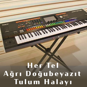 Ağrı Doğubeyazıt Tulum Halayı