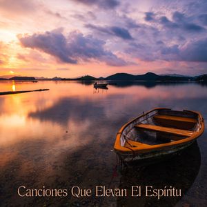 Apreciación Por La Vida