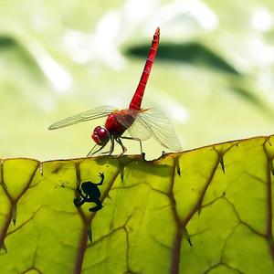 听妈妈讲那过去的故事