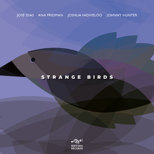 José's Scalextric F1 Set