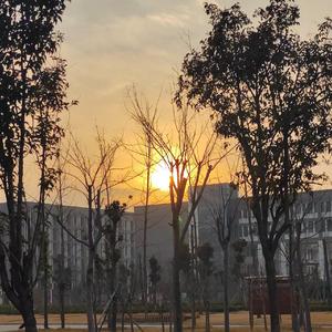 沈以诚-狂恋你__转换(Remix)