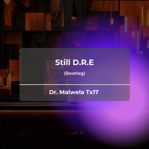 StilI D.R.E (Bootleg) (Remix)