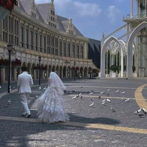 最好的安排（温柔版）