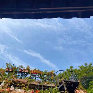 流年（翻自 王菲）