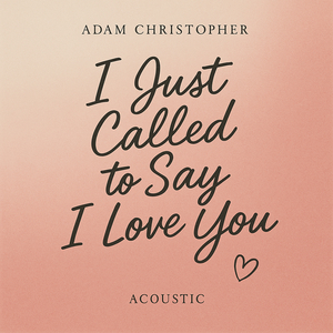 I Just Called to Say I Love You