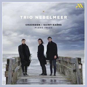 Piano Trio Op. 92 No. 2: III. Andante con moto