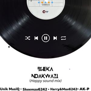 Bheka Ndakwazi (happy sound mix)