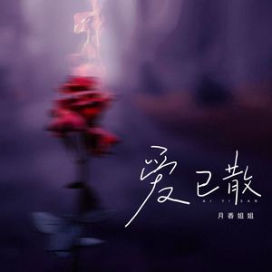 爱已散 (DJBanan版伴奏)