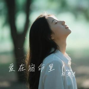 爱在宿命里 (烟嗓哥 Remix)