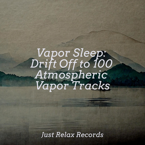 Suspended Lullabies in Silence