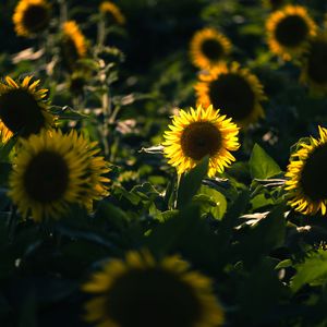 巅峰时刻_48khz_24bit