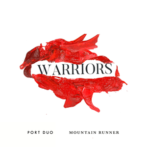 Warriors (feat. Mountain Runner)