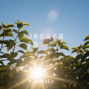 原来你从不属于我