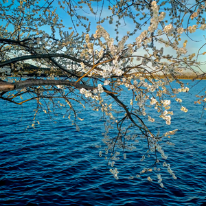 我们爱奉陪到底