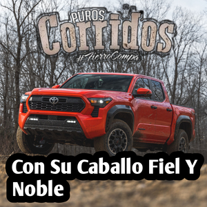 Con su caballo fiel y noble