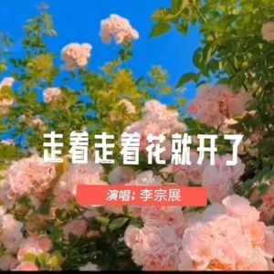 走着走着花就开了