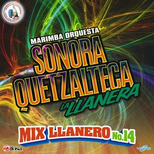 Mix Llanero 14: La Basurita / La Hija de Nadie