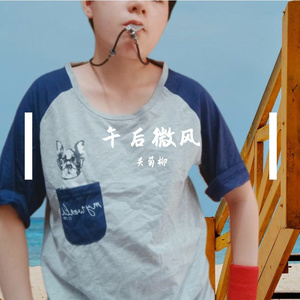 午后微风(纯音乐)