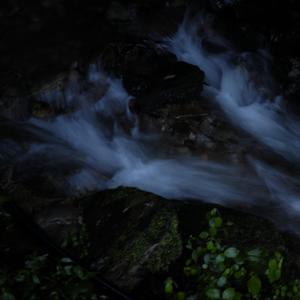 缓慢的爱你一生