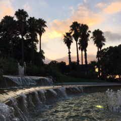 情歌还是伤的好 (DJ版)