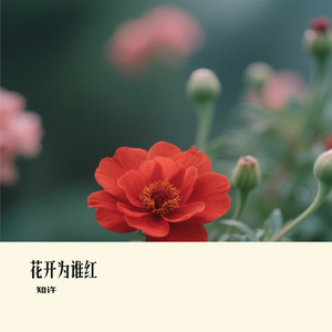花开为谁红