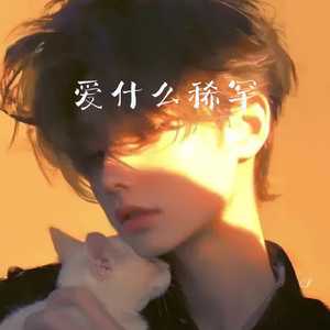 爱什么稀罕(雷鬼版)