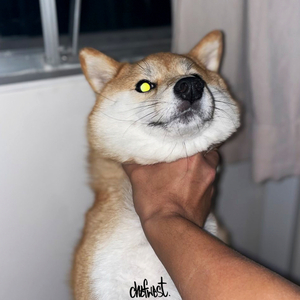 結界師對香港土地問題的看法(8分) (feat. $hinyLungs)