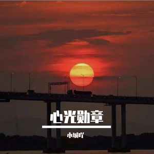 心光勋章