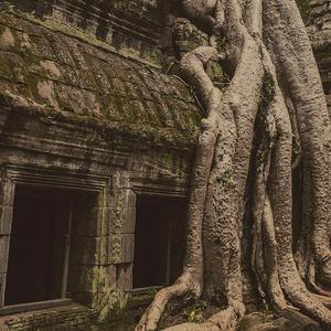 Yeombul (Plastic Cup Mix)