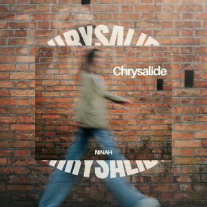 Chrysalide