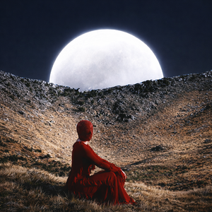 Cosmic Call (太空来电)