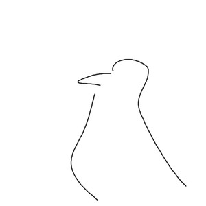 Yawning Crow