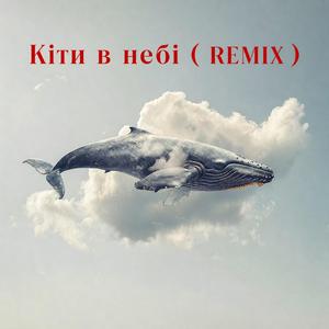Кіти в небі (REMIX)