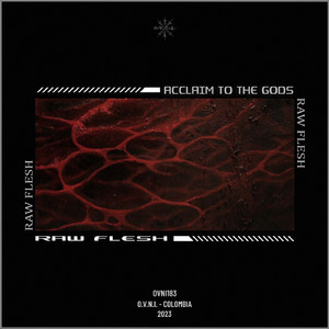 Raw Veins (Original Mix)