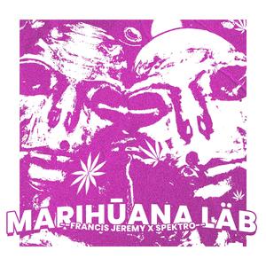 Marihūana läb (feat. Spektro & Matte?)