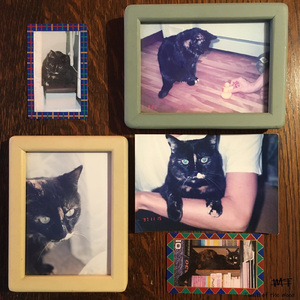 休日（猫と。）