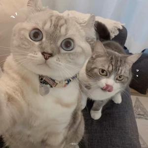 好像掉进爱情海里