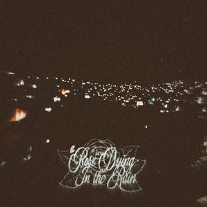 Through The Infinity of Her Eyes