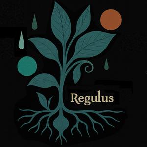 Regulus