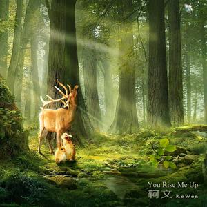 You Rise Me Up（翻自 Westlife）