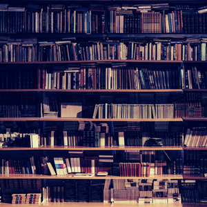 柔和的办公室时刻