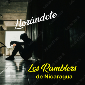 Llorándote