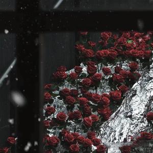 玫瑰少年（治愈片段版）