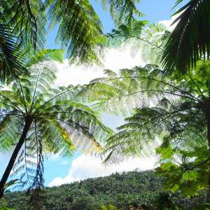 V7 （Original Mix）