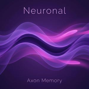 Axon Memory