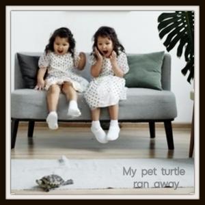 My pet turtle ran away